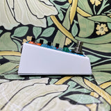 Rainger FX Reverb-X - Used
