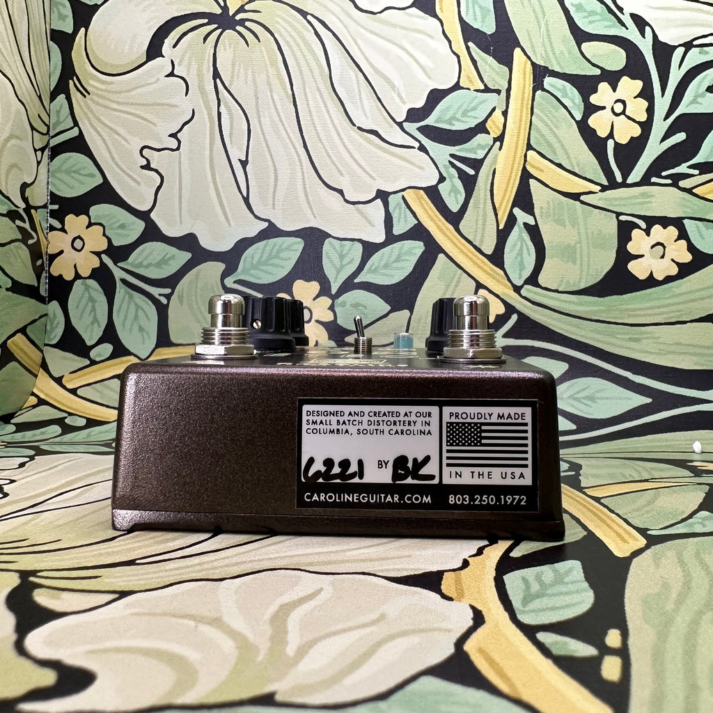 caroline meteore pedal Caroline Guitar Company Météore Lo-Fi Reverb – eastside music supply