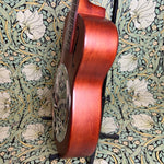 Epiphone Dobro Hound Dog Resonator 2009