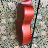 Epiphone Dobro Hound Dog Resonator 2009
