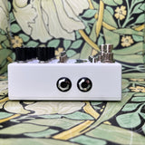 Chase Bliss Condor - Used