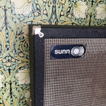 Sunn 6x10 Amp Cabinet 1970's
