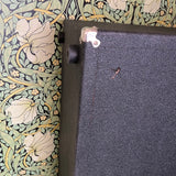 Sunn 6x10 Amp Cabinet 1970's