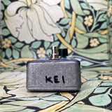 Electro-Harmonix Holy Grail Nano - Used