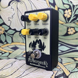 Earthquaker Devices Afterneath Otherworldly Reverberator V1 - Used