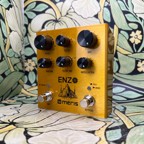 Meris Enzo - Used