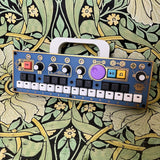 Chase Bliss + CHOMPI sampler - Limited Treasure Island Edition