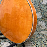 Guild Starfire VI Flamed Maple Blonde 2023