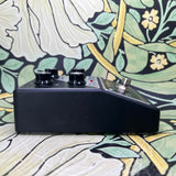 Moog Minifooger MF Chorus