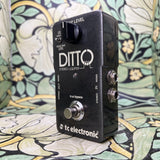 TC Electronic Ditto Stereo Looper - Used