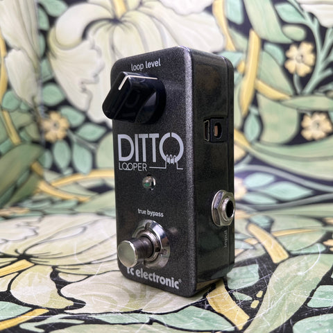 TC Electronic Ditto Looper - Used