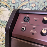 Boss Acoustic Singer Live LT 60watt Amp