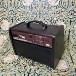 Boss Acoustic Singer Live LT 60watt Amp