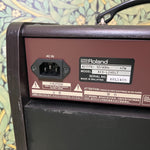 Boss Acoustic Singer Live LT 60watt Amp