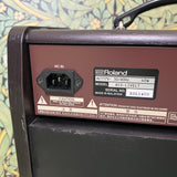 Boss Acoustic Singer Live LT 60watt Amp
