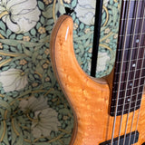 Pedulla Thunderbolt Fretless 5-string Bass Amber 1994
