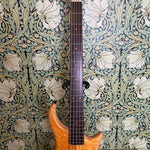 Pedulla Thunderbolt Fretless 5-string Bass Amber 1994