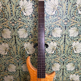 Pedulla Thunderbolt Fretless 5-string Bass Amber 1994
