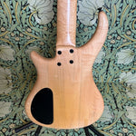 Pedulla Thunderbolt Fretless 5-string Bass Amber 1994