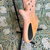 Pedulla Thunderbolt Fretless 5-string Bass Amber 1994
