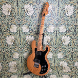 Peavey T-60 1979