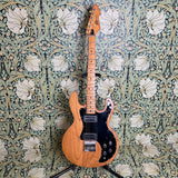 Peavey T-60 1979