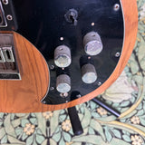 Peavey T-60 1979