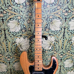 Peavey T-60 1979
