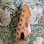 Peavey T-60 1979