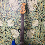 Ernie Ball Music Man Steve Morse Signature Blue Burst 1996