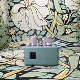 Digitech Polara