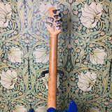 Ernie Ball Music Man Steve Morse Signature Blue Burst 1996