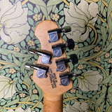 Ernie Ball Music Man Steve Morse Signature Blue Burst 1996