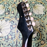 Harmony H82 Rebel Sunburst 1969