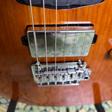 Schecter Van Nuys Traditional