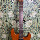 Schecter Van Nuys Traditional