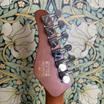 Schecter Van Nuys Traditional