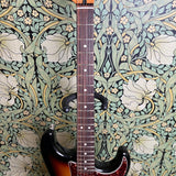 Fender Deluxe Lonestar Stratocaster MIM 2008