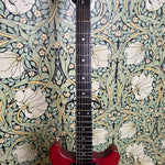 Rosser Double Cutaway Custom Faded Red