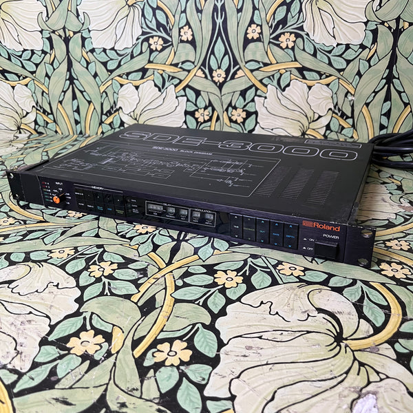 Roland SDE-3000 Digital Delay Rack Unit – eastside music supply