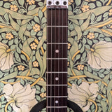 Ibanez RG570 Duochrome Blue/Purple 1991