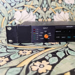 Roland SDE-3000 Digital Delay Rack Unit