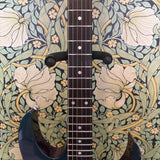 Ibanez RG570 Duochrome Blue/Purple 1991
