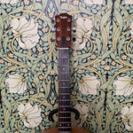 Taylor Academy 12e