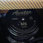 Swart AST Pro 1x12 Combo Amp