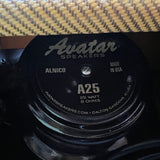 Swart AST Pro 1x12 Combo Amp