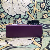 Analogman Prince of Tone