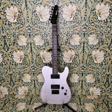 Fender Boxer Series Telecaster Inca Silver MIJ