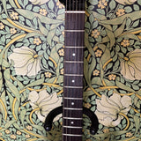 Fender Boxer Series Telecaster Inca Silver MIJ