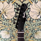 Fender Boxer Series Telecaster Inca Silver MIJ